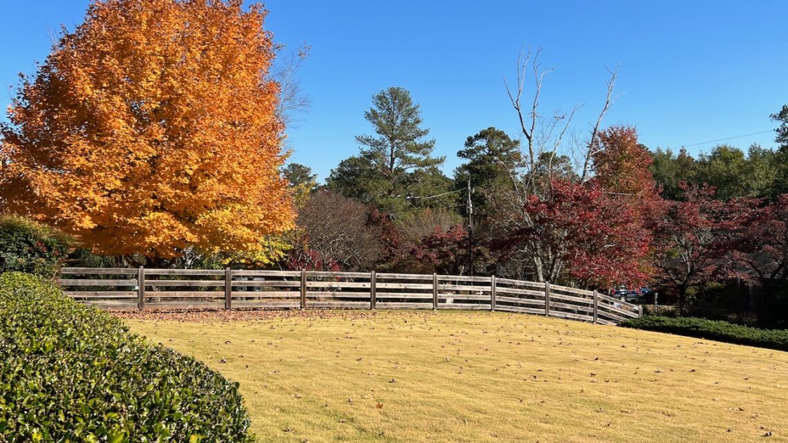 landscape of property