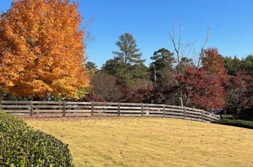 landscape of property